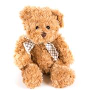 Bramble Teddy Bear