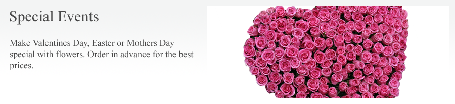 Special Event Flowers by Miss Lillies Northampton